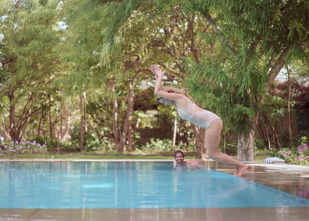 Pushkarorganic - Lux Farm Resort With Pool 외부 사진