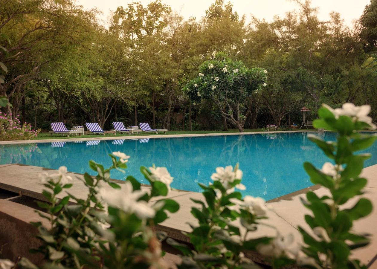 Pushkarorganic - Lux Farm Resort With Pool 외부 사진