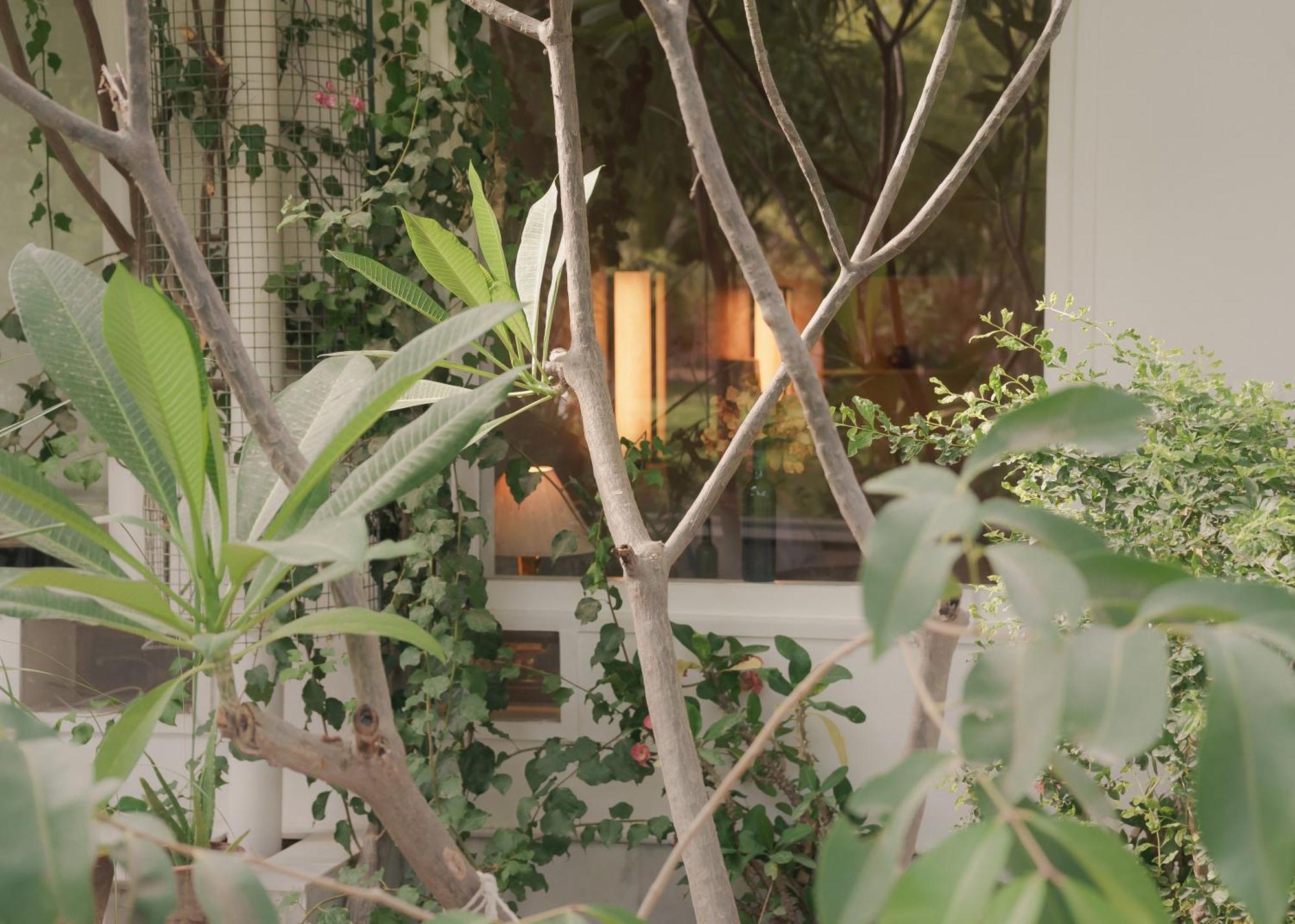 Pushkarorganic - Lux Farm Resort With Pool 외부 사진